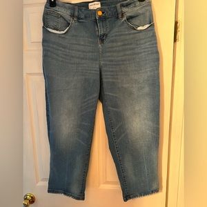 Lane Bryant Boyfriend style crop jeans
